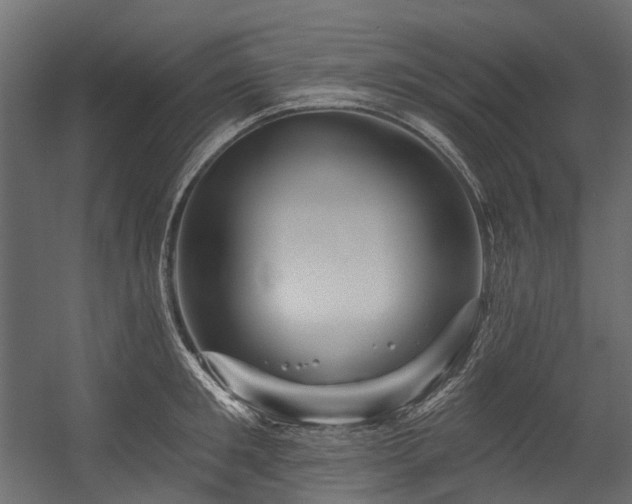 X0000054460901200507291345