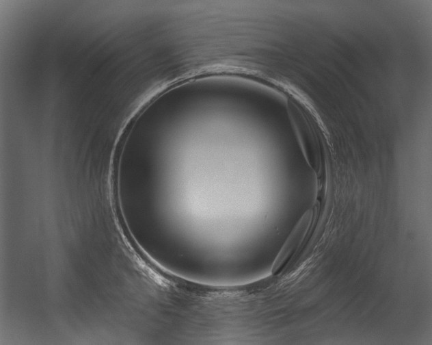 X0000054460902200507291345