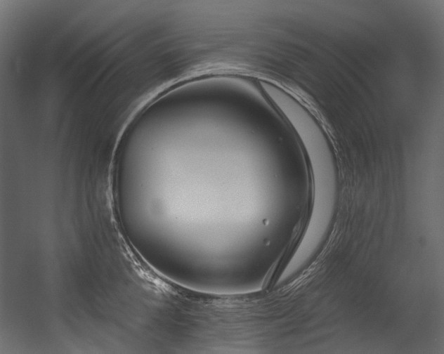X0000054460904200507291345