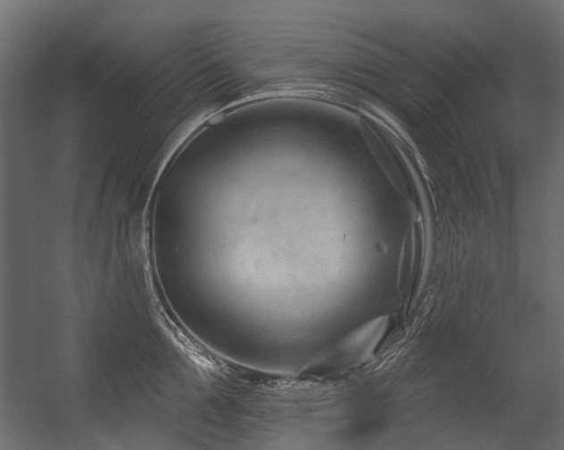 X0000054460907200507291345