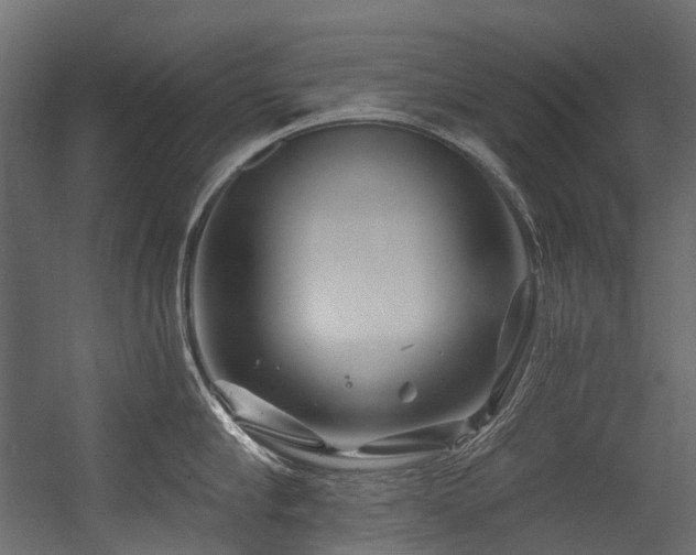 X0000054460910200507291345
