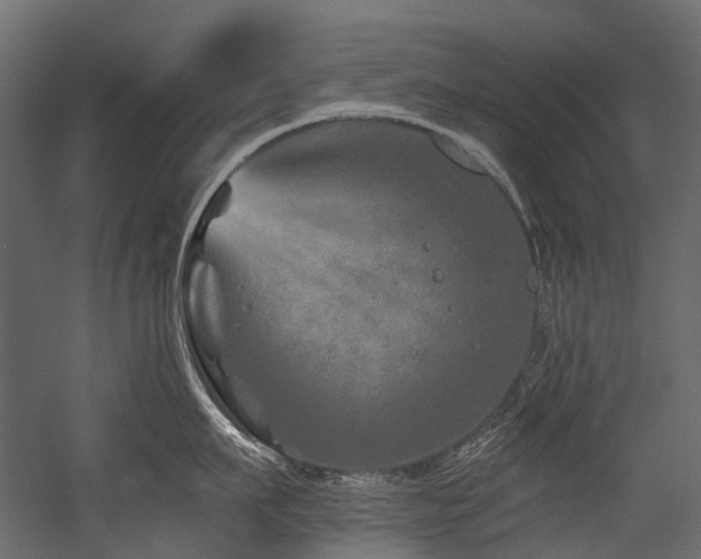 X0000054460911200507291345