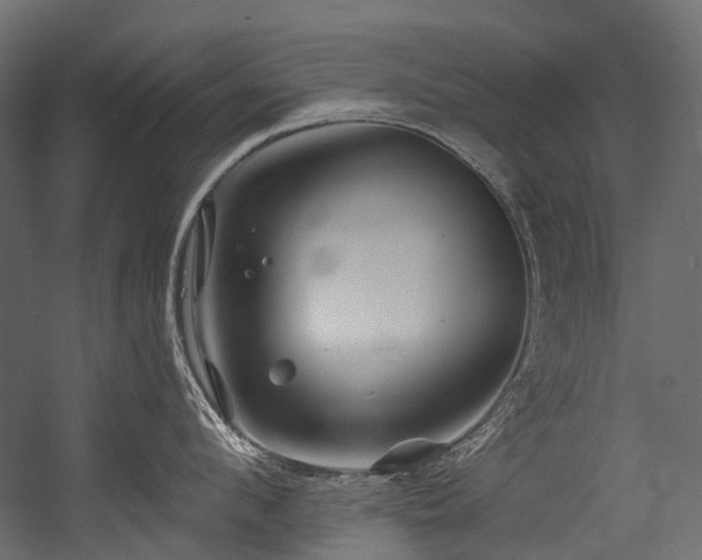 X0000054460912200507291345