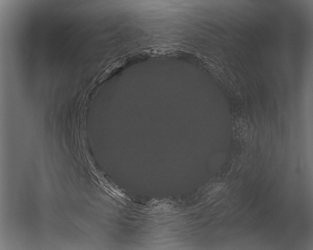 X0000054460913200507291344