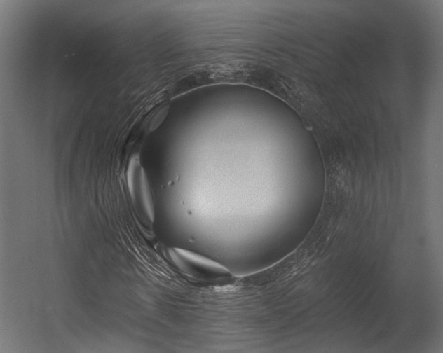 X0000054460914200507291344