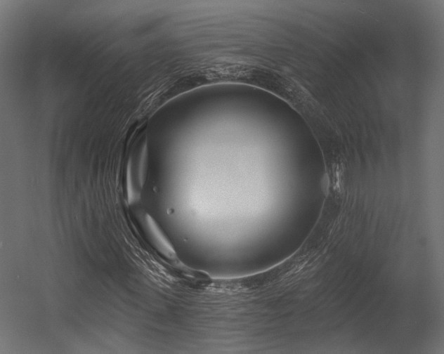 X0000054460915200507291344