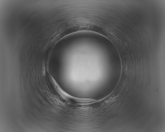 X0000054460916200507291344