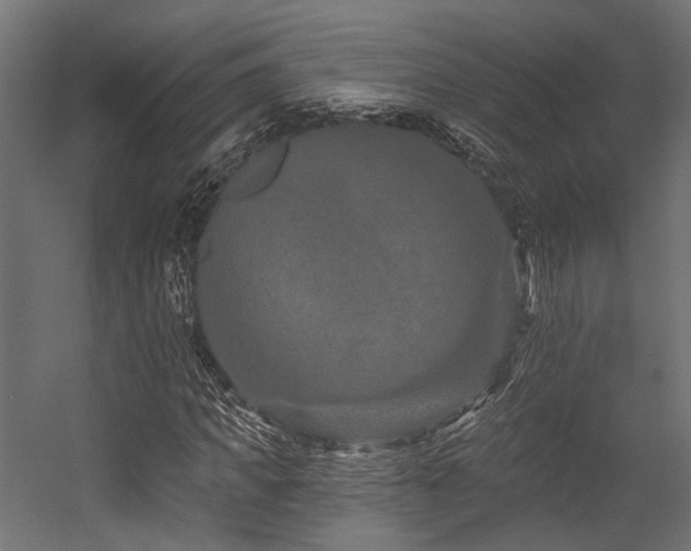 X0000054460917200507291344
