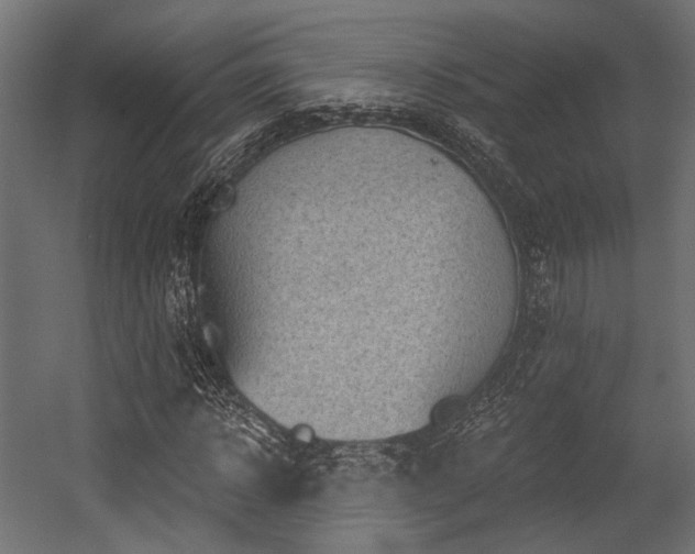 X0000054460918200507291344