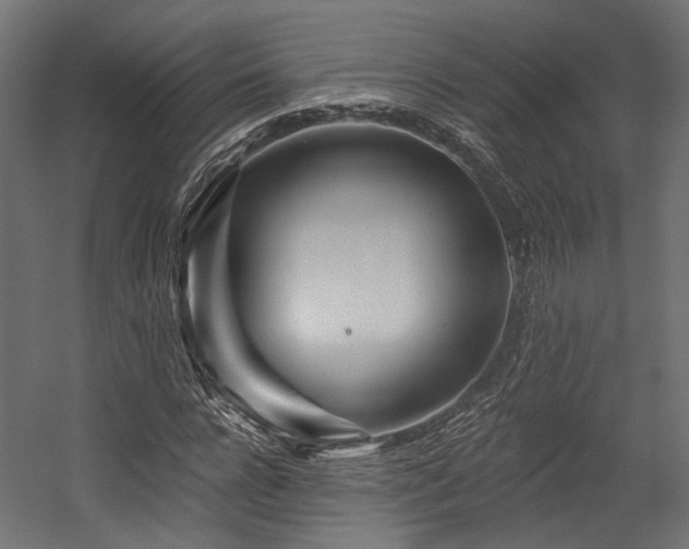 X0000054460920200507291344