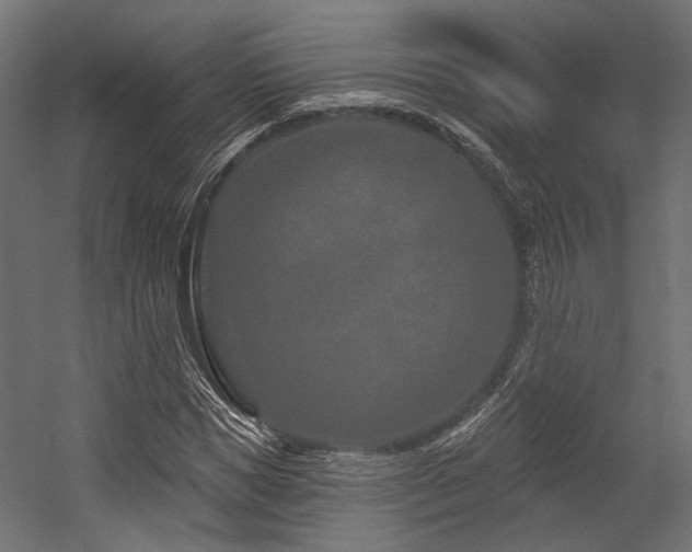 X0000054460921200507291344