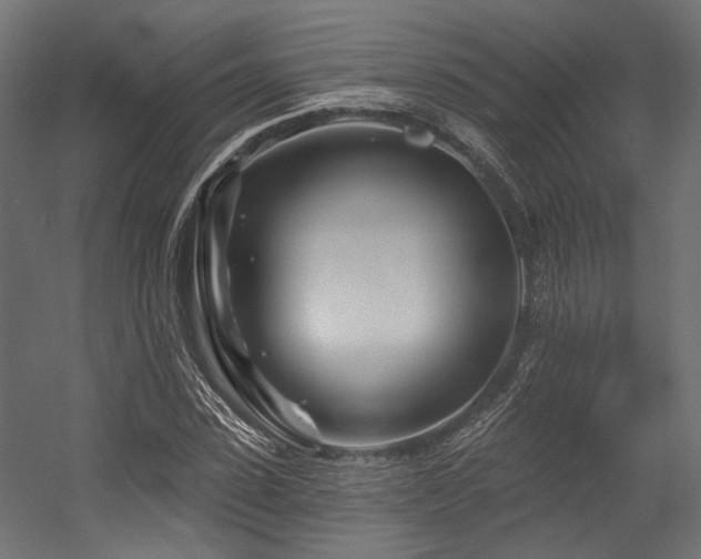 X0000054460923200507291344