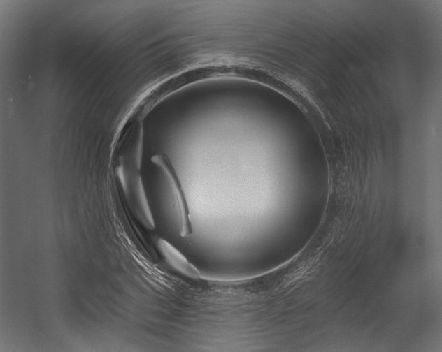 X0000054460927200507291344