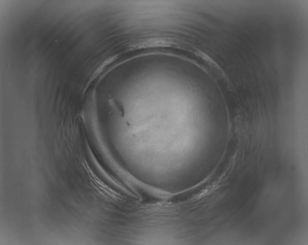 X0000054460929200507291344