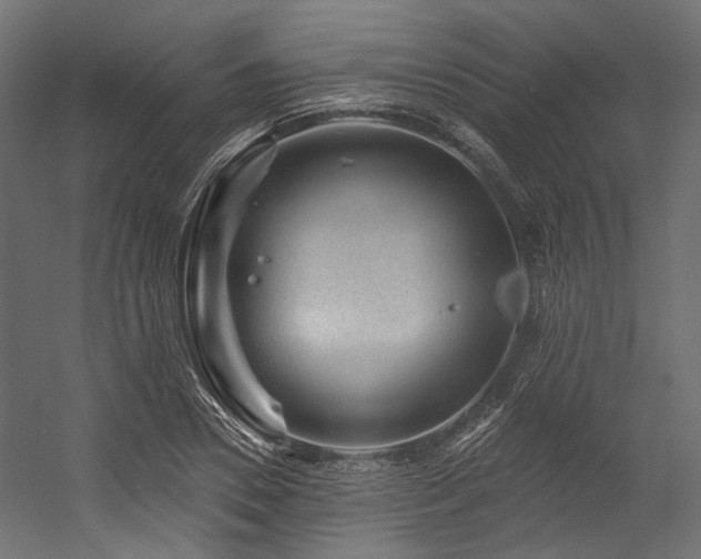 X0000054460930200507291344