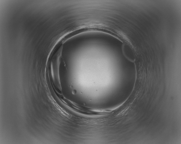 X0000054460932200507291344