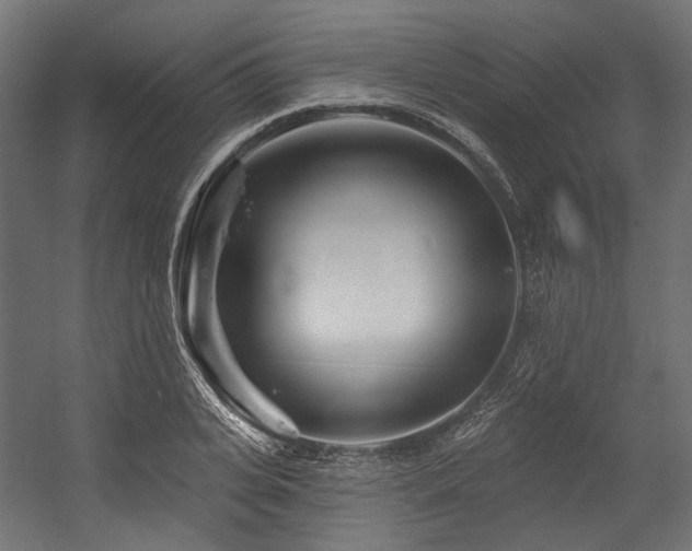 X0000054460935200507291344