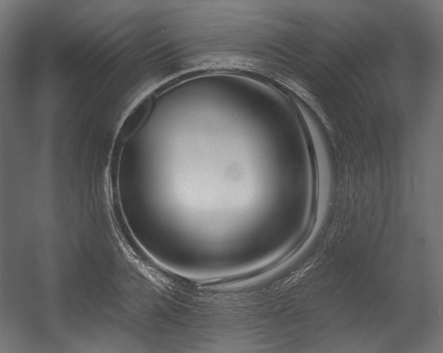 X0000054460936200507291344