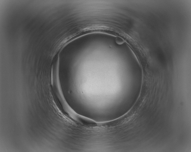 X0000054460937200507291344