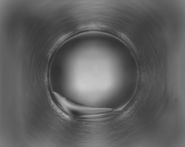 X0000054460938200507291344