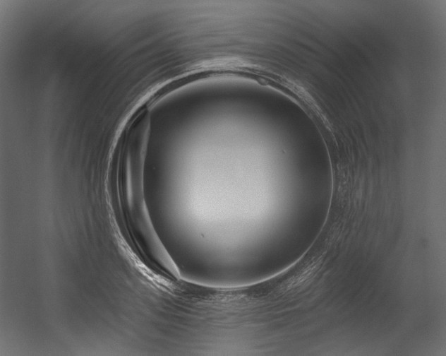 X0000054460939200507291344