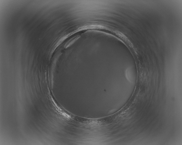X0000054460945200507291344