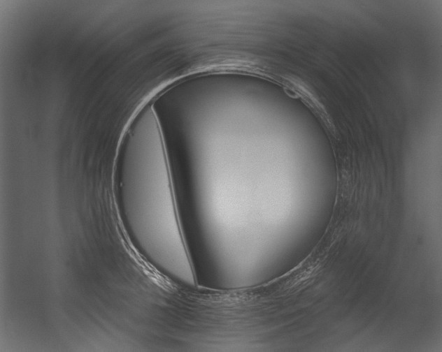 X0000054460948200507291345