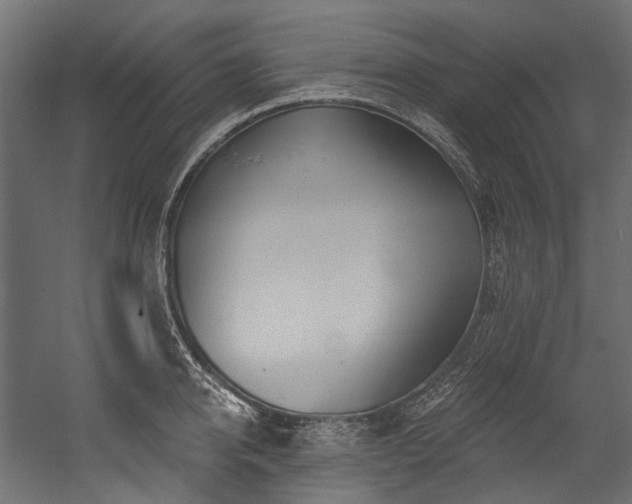 X0000054460950200507291345