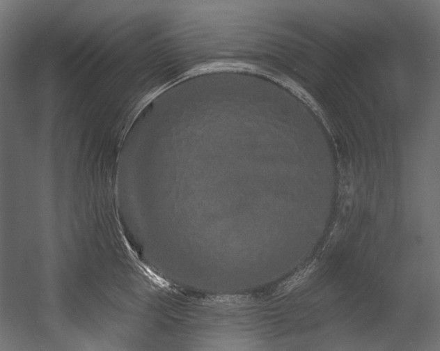 X0000054460953200507291345