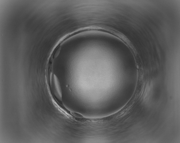X0000054460958200507291345