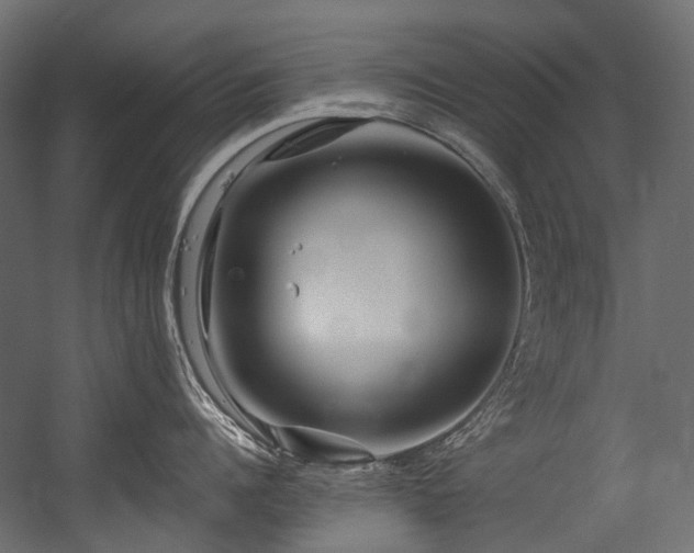 X0000054460960200507291345