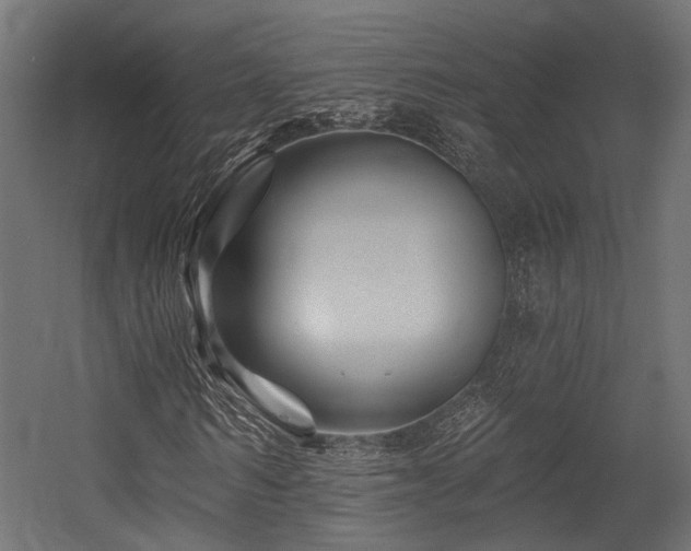 X0000054460962200507291344