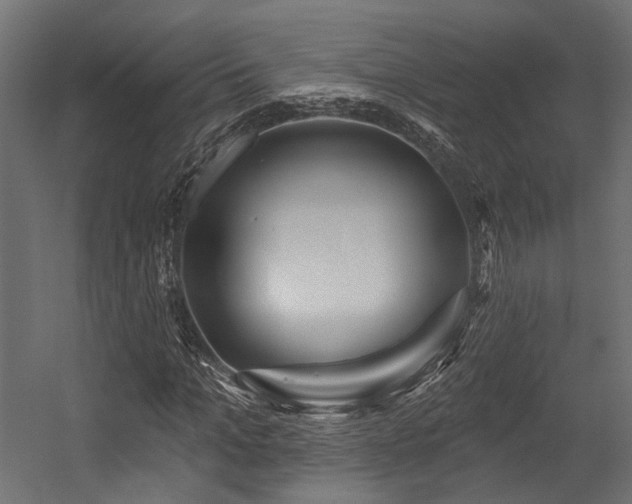 X0000054460965200507291344