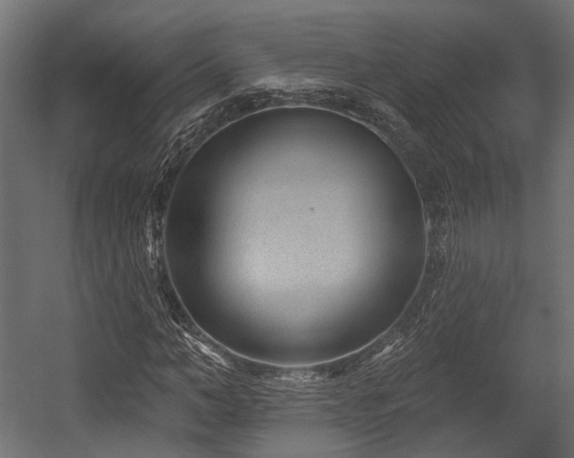 X0000054460966200507291344
