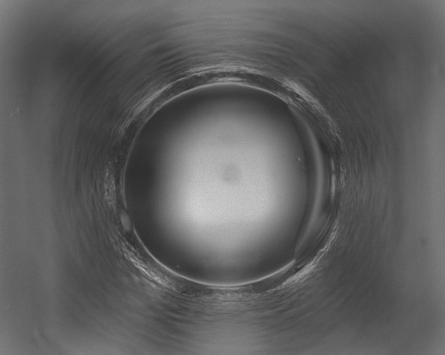 X0000054460969200507291344