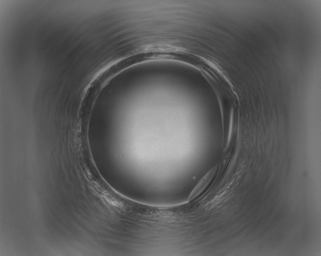 X0000054460971200507291344