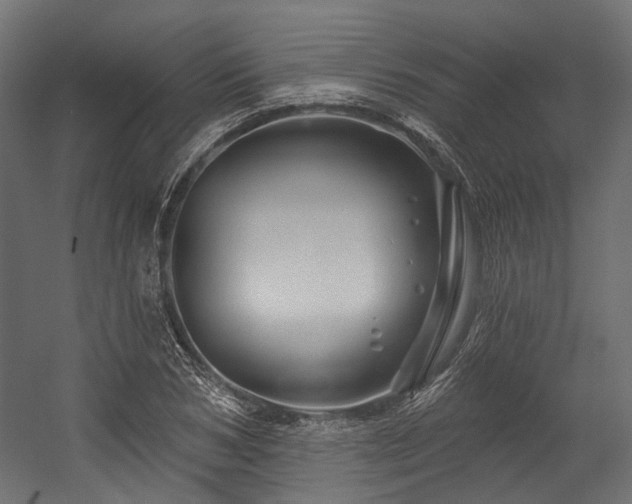X0000054460978200507291344