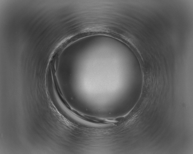 X0000054460979200507291344