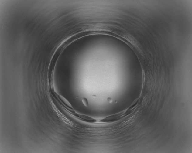 X0000054460980200507291344