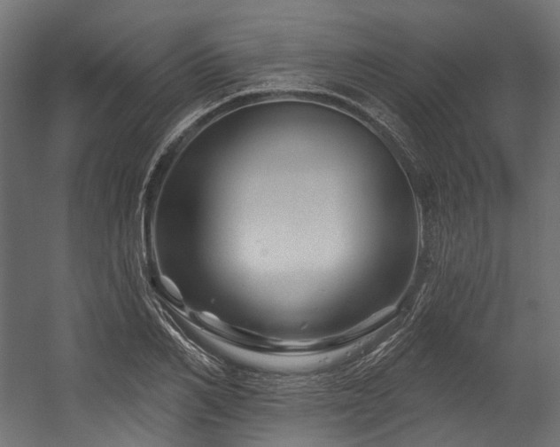 X0000054460982200507291344