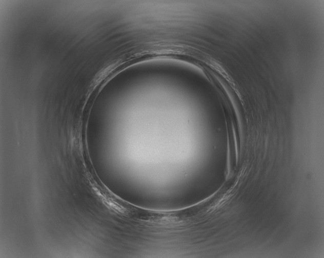 X0000054460986200507291343