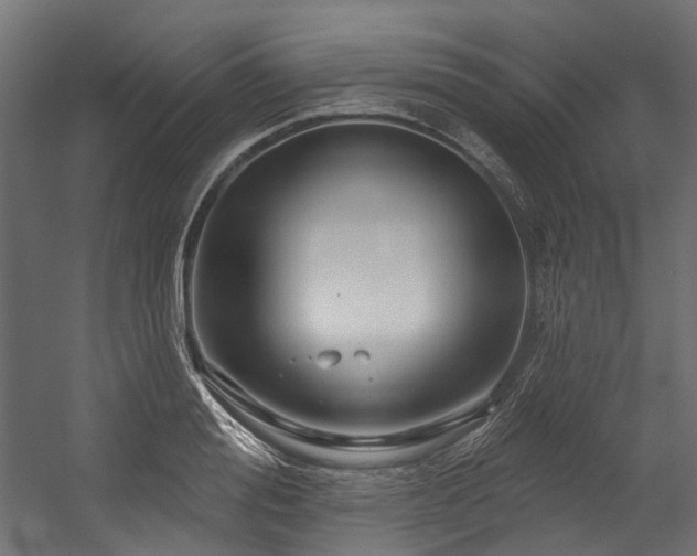 X0000054460988200507291343