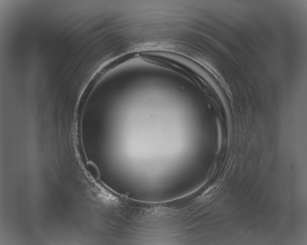 X0000054460992200507291343