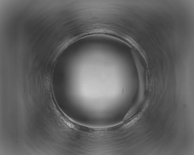 X0000054460993200507291343