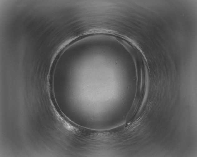 X0000054460995200507291343