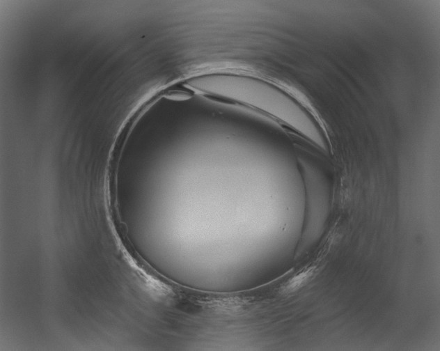 X0000054460999200507291343