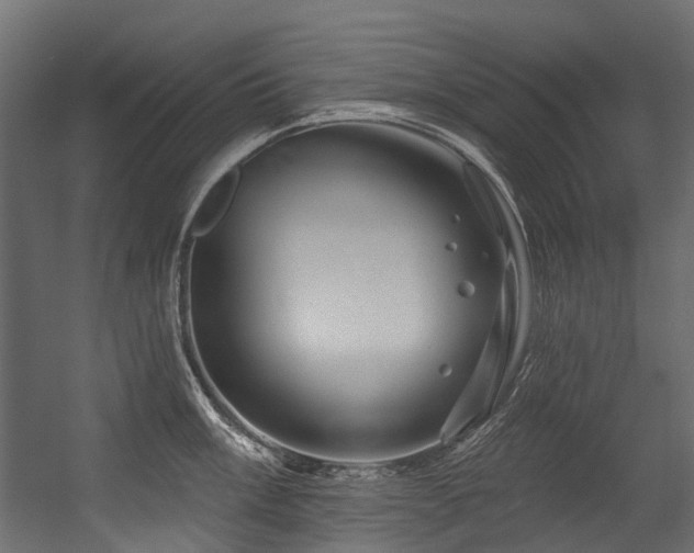 X0000054461003200507291343