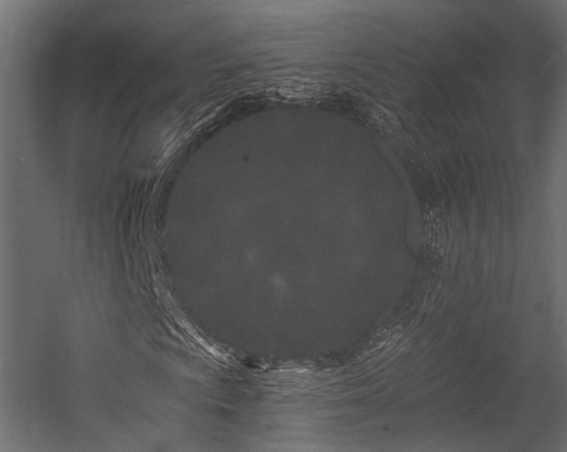 X0000054461009200507291342