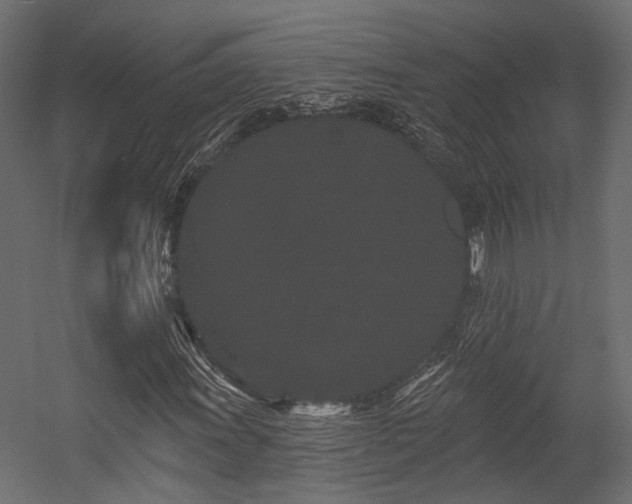 X0000054461011200507291342