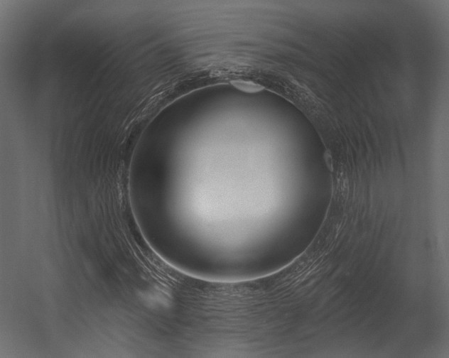 X0000054461012200507291342